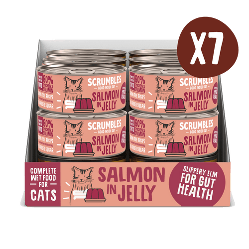salmon-in-jelly-wet-cat-foodwet-cat-foodscrumbles-natural-pet-foodwcjs1-98167