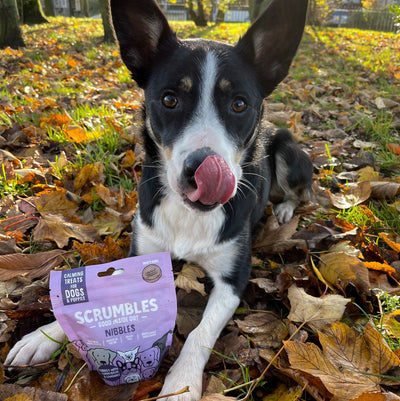 nibbles-calming-dog-treats-100g-grain-free-for-puppies-gluten-free-sensitive-stomachs-0