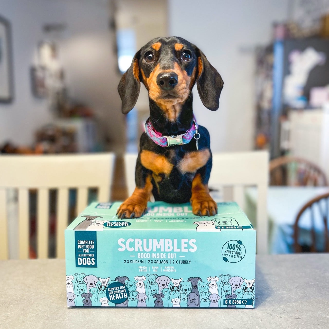 Scrumbles deals dog food