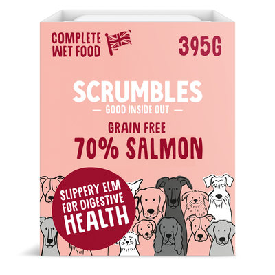 Best salmon grain free dog best sale food
