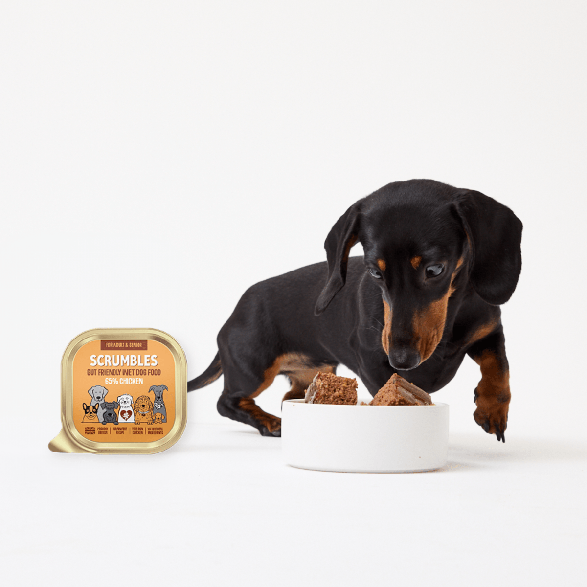 Best Wet Dog Food for Small Dogs