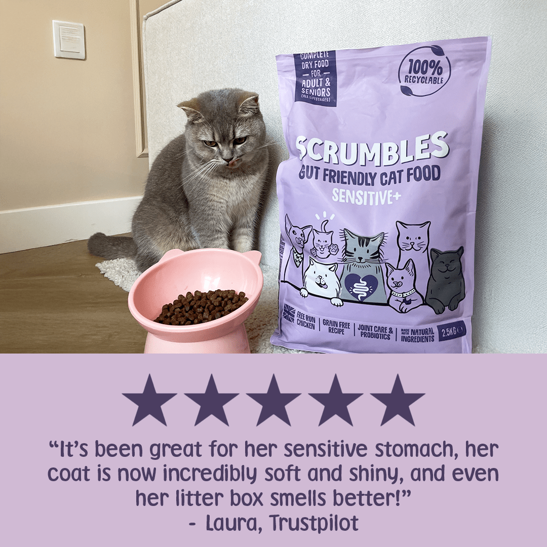 Sensitive+ Dry Cat Food Gut Friendly Review