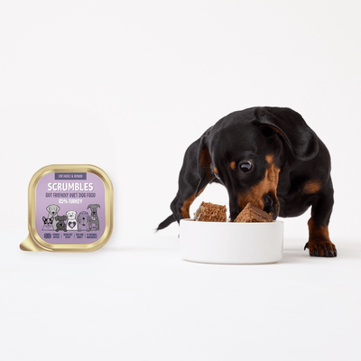 grain-free-turkey-wet-dog-food-scrumbles-wet-dog-food-adult-dog-food-puppy-sensitive-hypoallergenic-gluten-free-senior-dogs-2