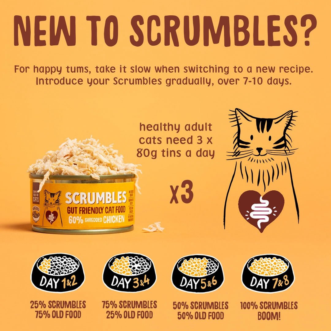 Wet Cat Tins Shredded Chicken in Broth Feeding