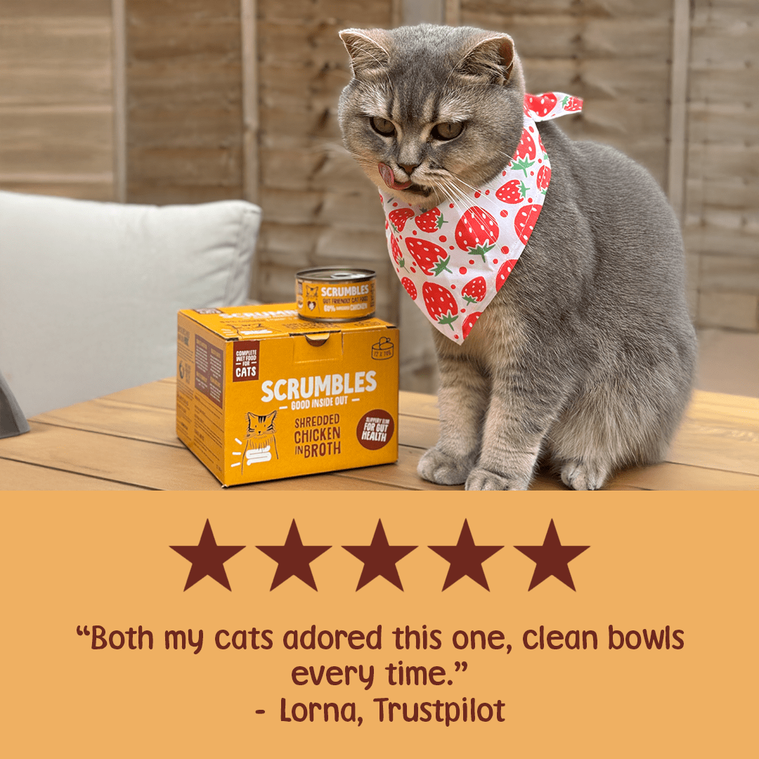 Wet Cat Tins Shredded Chicken in Broth Review