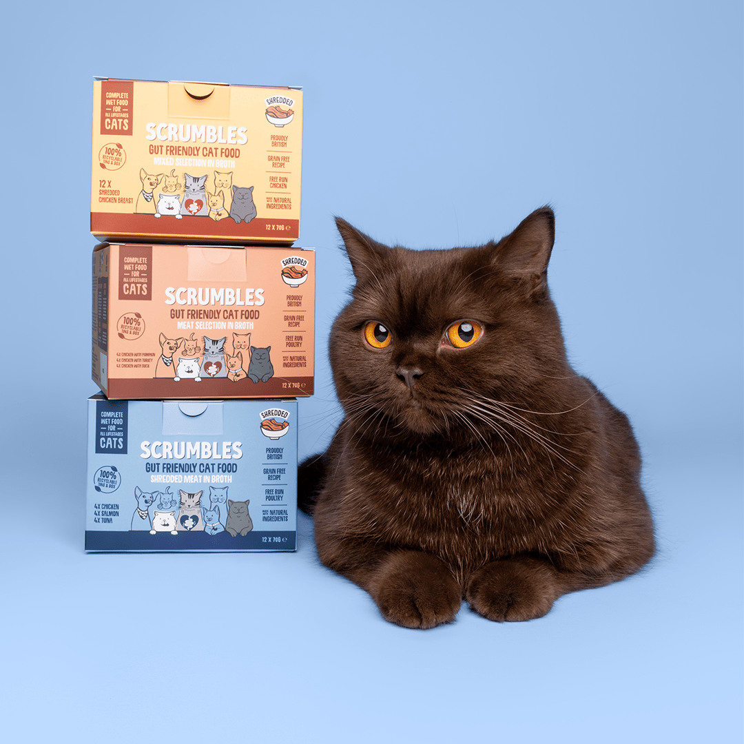 Wet Cat Tins Shredded Meat & Fish in Broth Selection