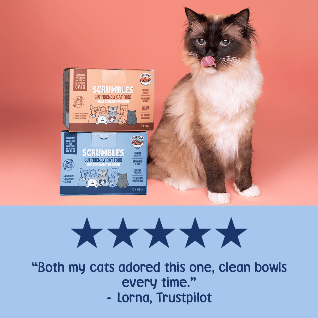 Wet Cat Tins Shredded Meat & Fish in Broth Review