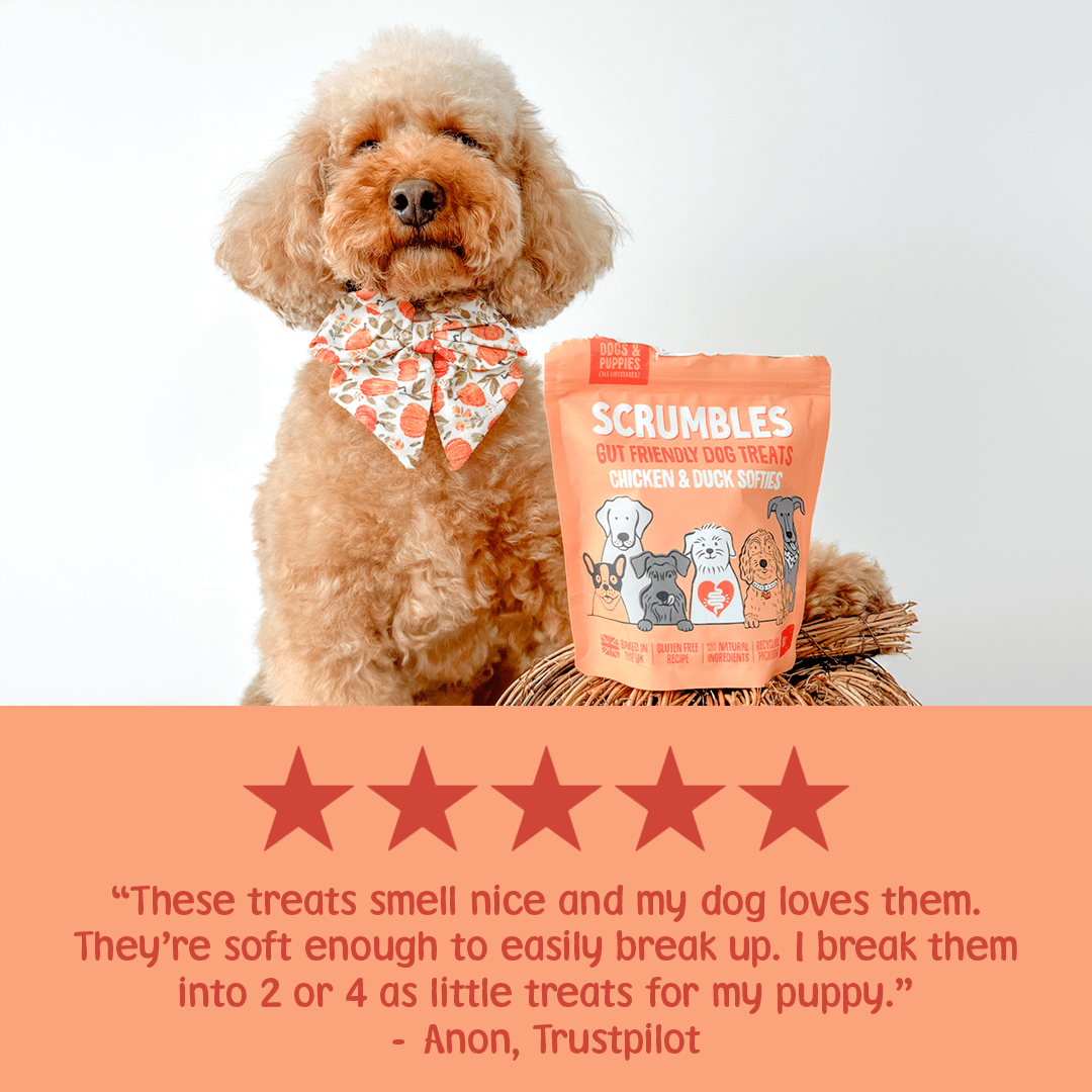 Chicken & Duck Softies Dog Treats Review