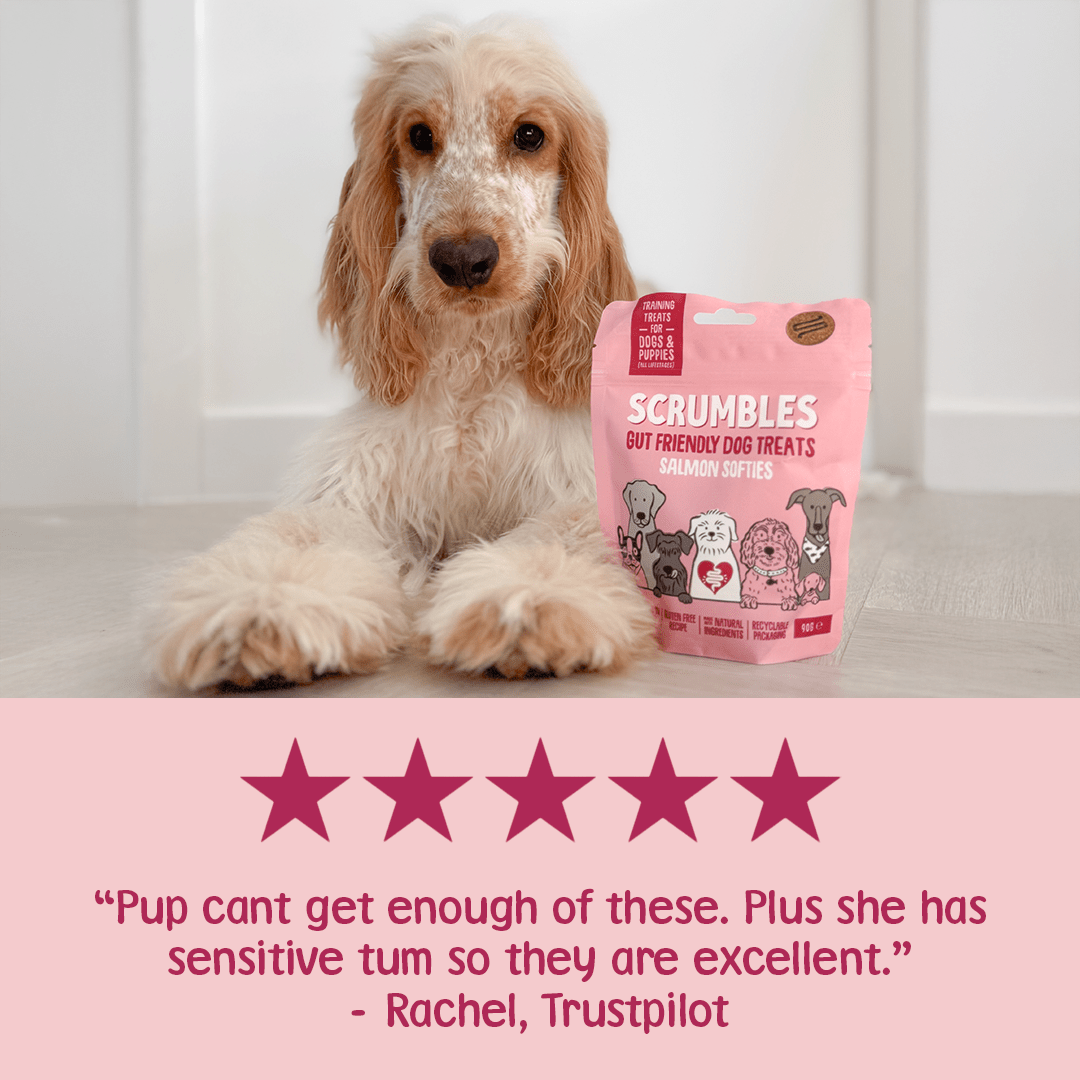 Salmon Softies Dog Treats Review