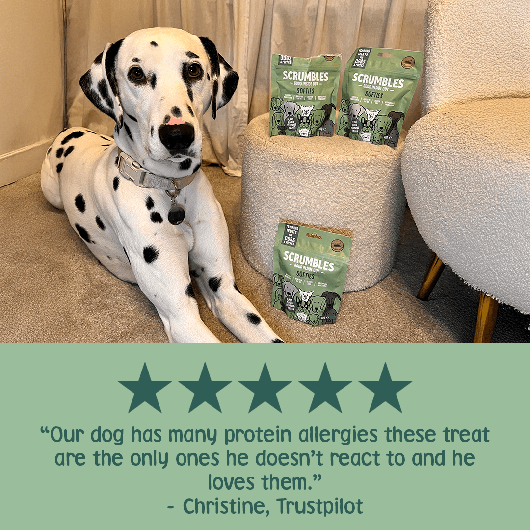 Veggie Softies Dog Treats Review