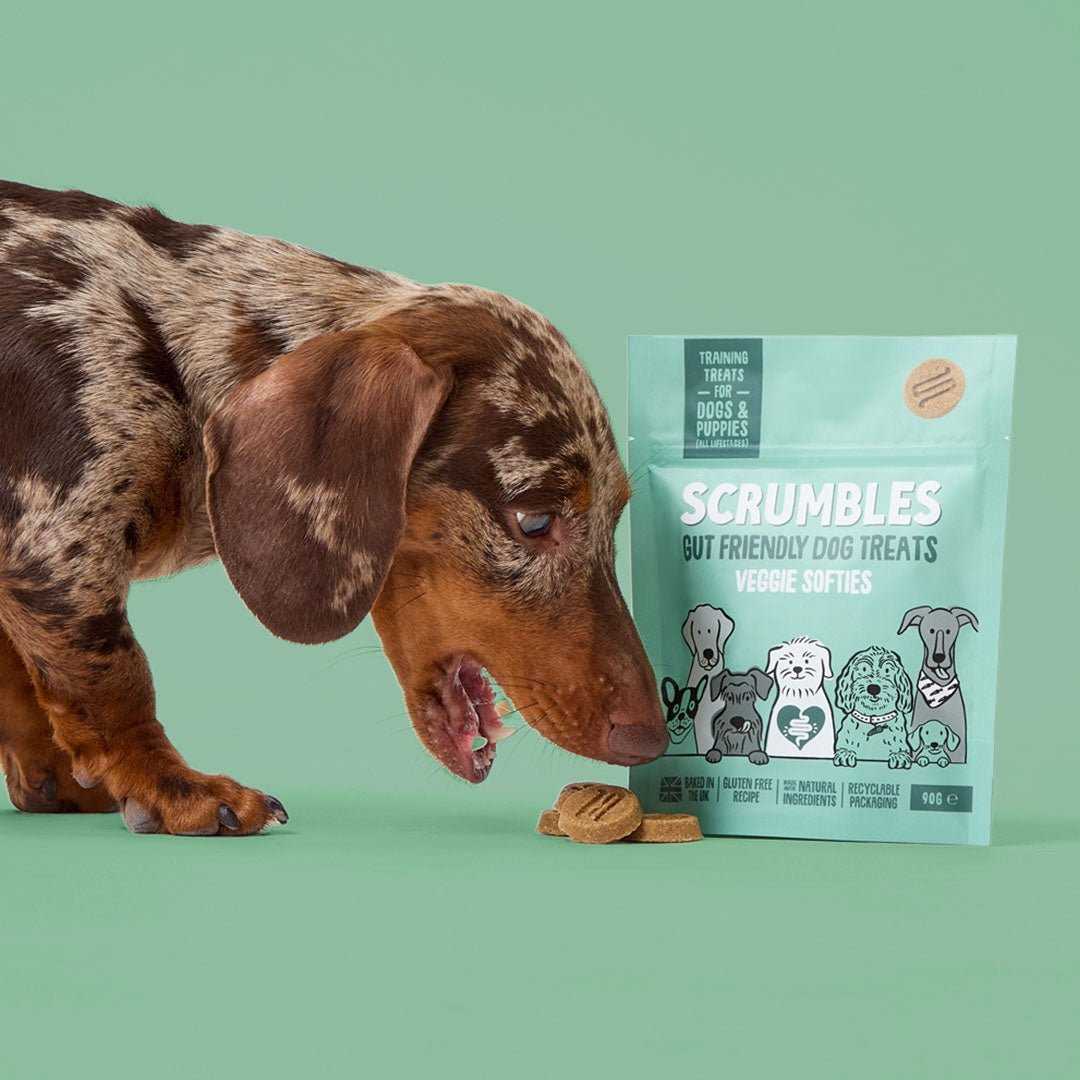 Veggie Softies Dog Treats Eating