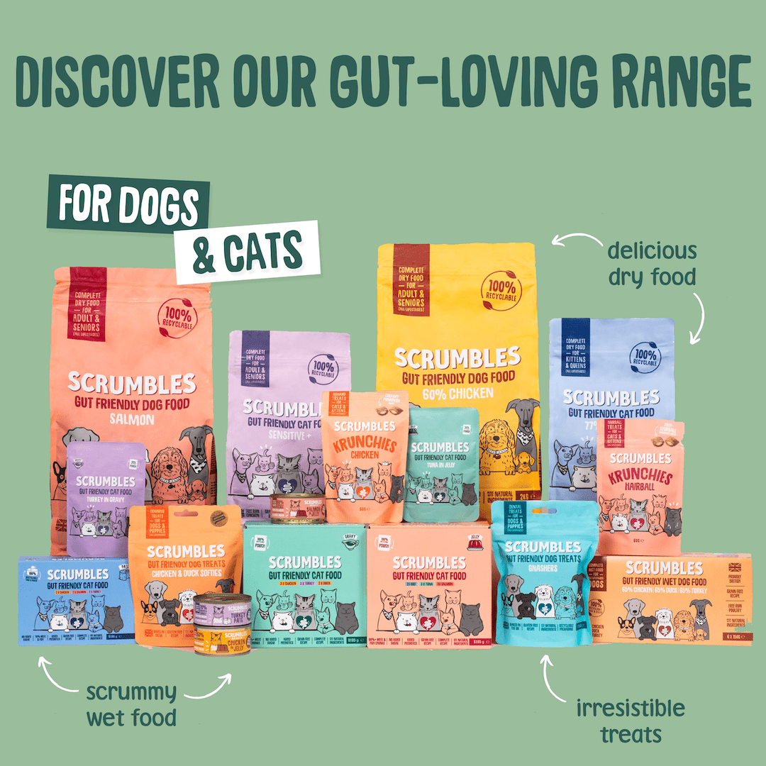 Veggie Softies Dog Treats Range