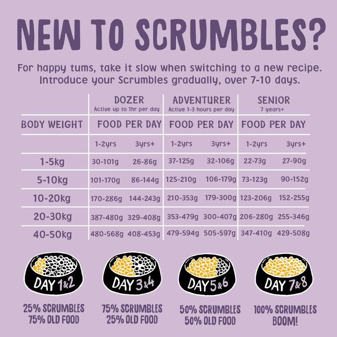 Turkey Dry Dog Food Feeding