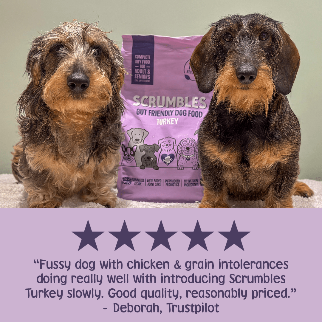 Turkey Dry Dog Food Review