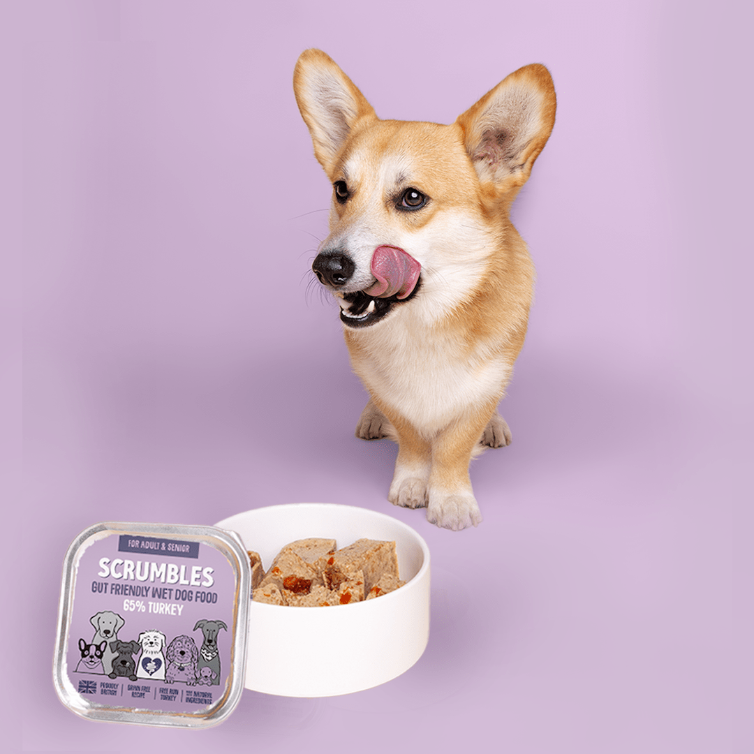 Turkey 150g Wet Dog Food