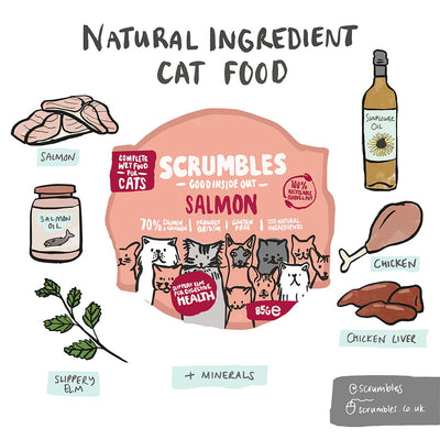 grain-free-salmon-wet-cat-food-scrumbles-wet-cat-food-adult-cat-food-black-friday-cat-food-gluten-free-cat-food-grain-free-cat-food-high-protein-cat-food-hypoallergenic-cat-food-kitten-food-natural-cat-food-senior-cat-food-sensitive-stomach-cat-food-wet-cat-food-2